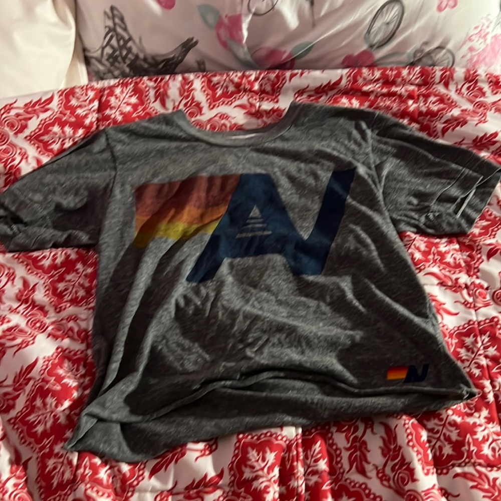 Aviator nation logo boyfriend tee in an xs in heather gray